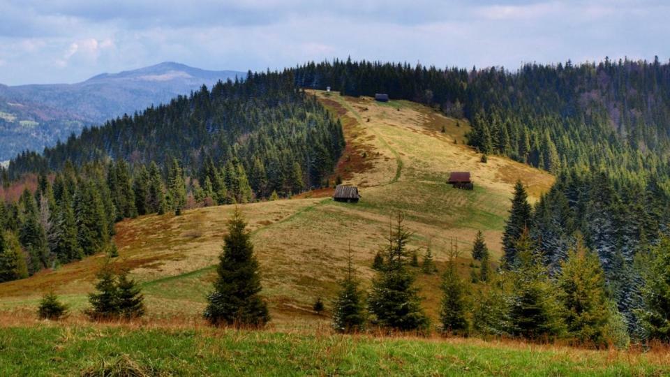 Wasielowka Poręba Wielka Exteriör bild
