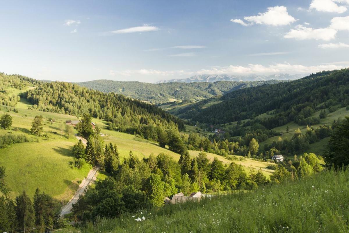 Wasielowka Poręba Wielka Exteriör bild
